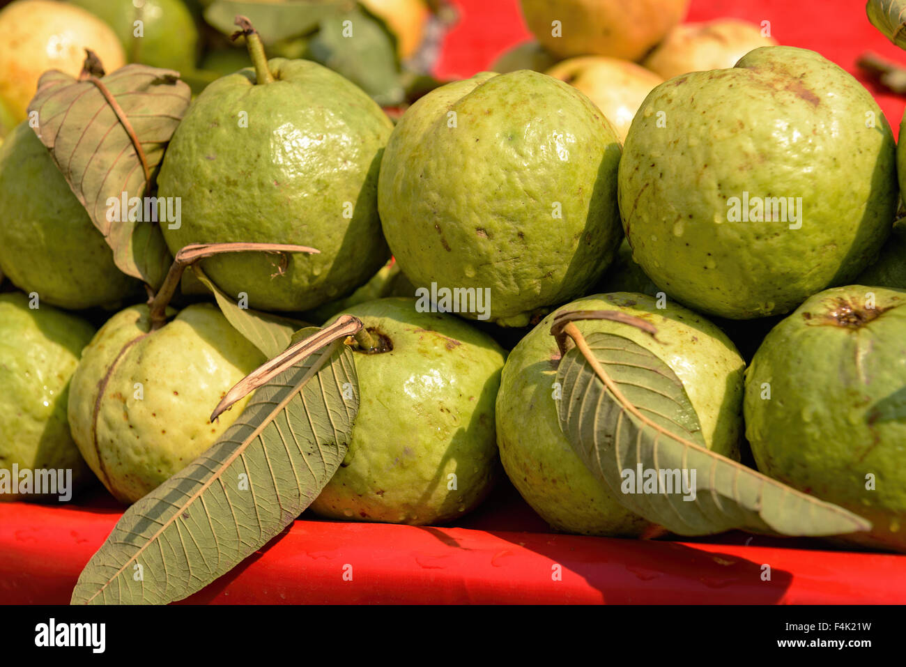 Frischen Guaven-Früchte Stockfoto