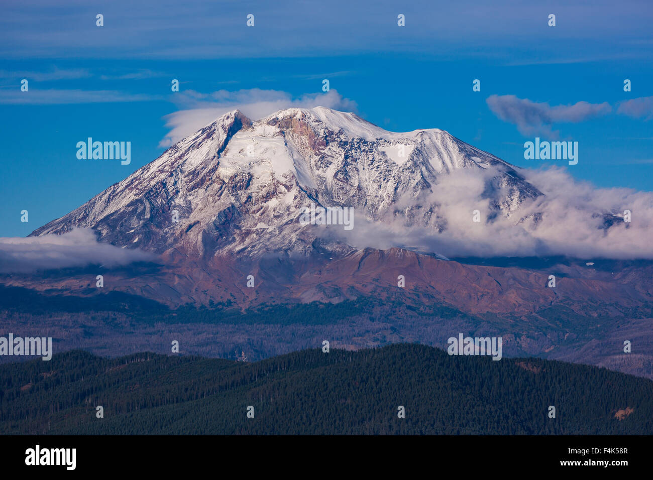 GIFFORD PINCHOT NATIONAL FOREST, WASHINGTON, USA - Mount Adams, Höhe 12.281 ft (3.743 m), Berg in der Kaskadenkette. Stockfoto