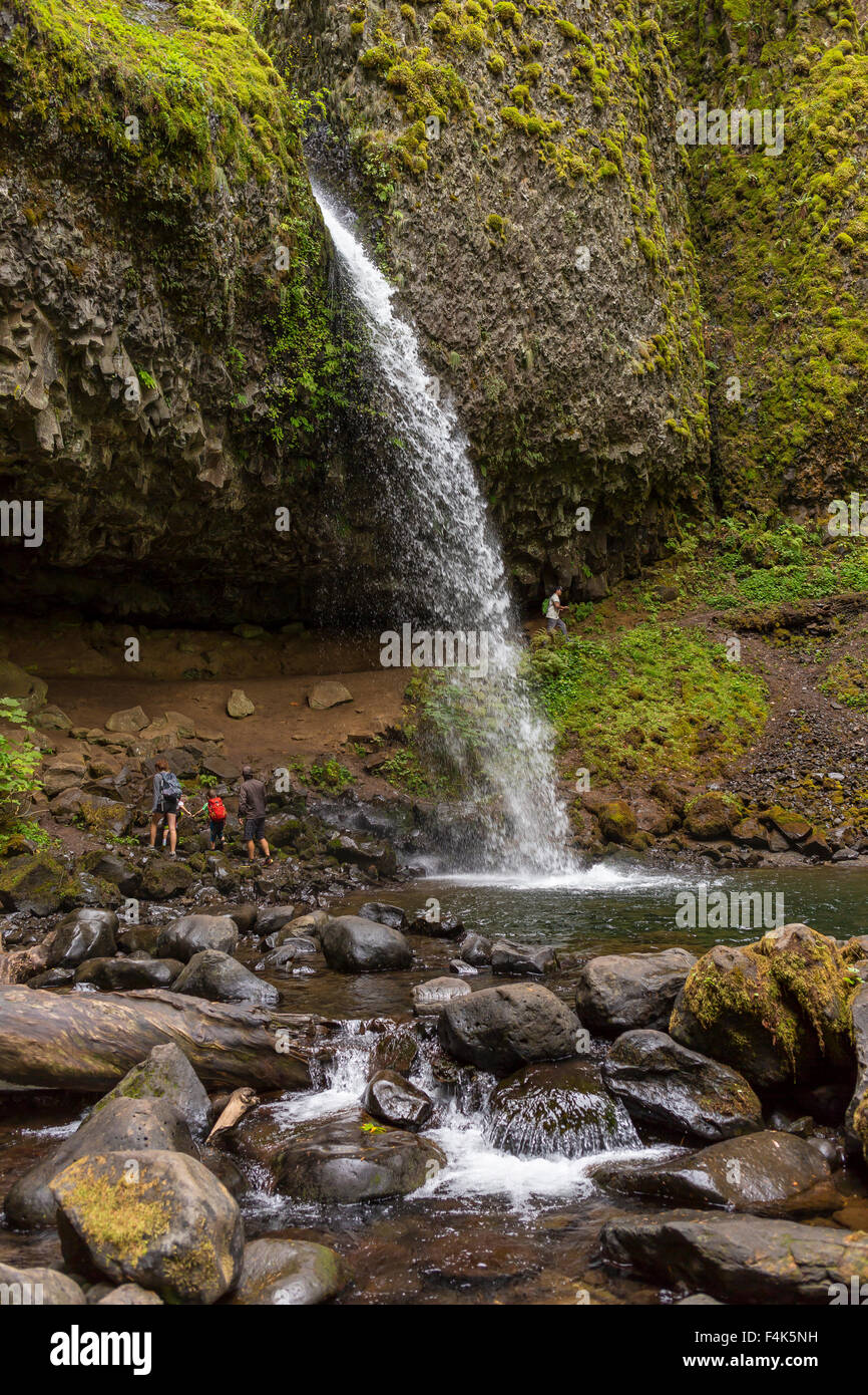 COLUMBIA RIVER GORGE, OREGON, USA - Schachtelhalm Falls Wasserfall im Columbia River Gorge. Stockfoto