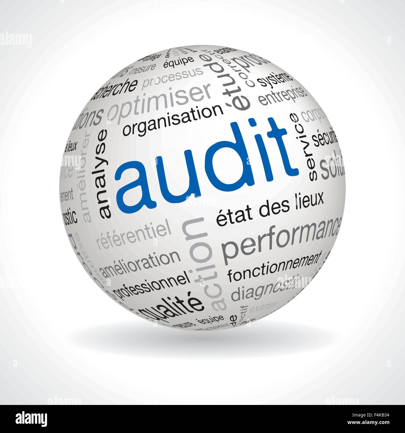 Französisch "Audit" Kugel mit keywords Stock Vektor