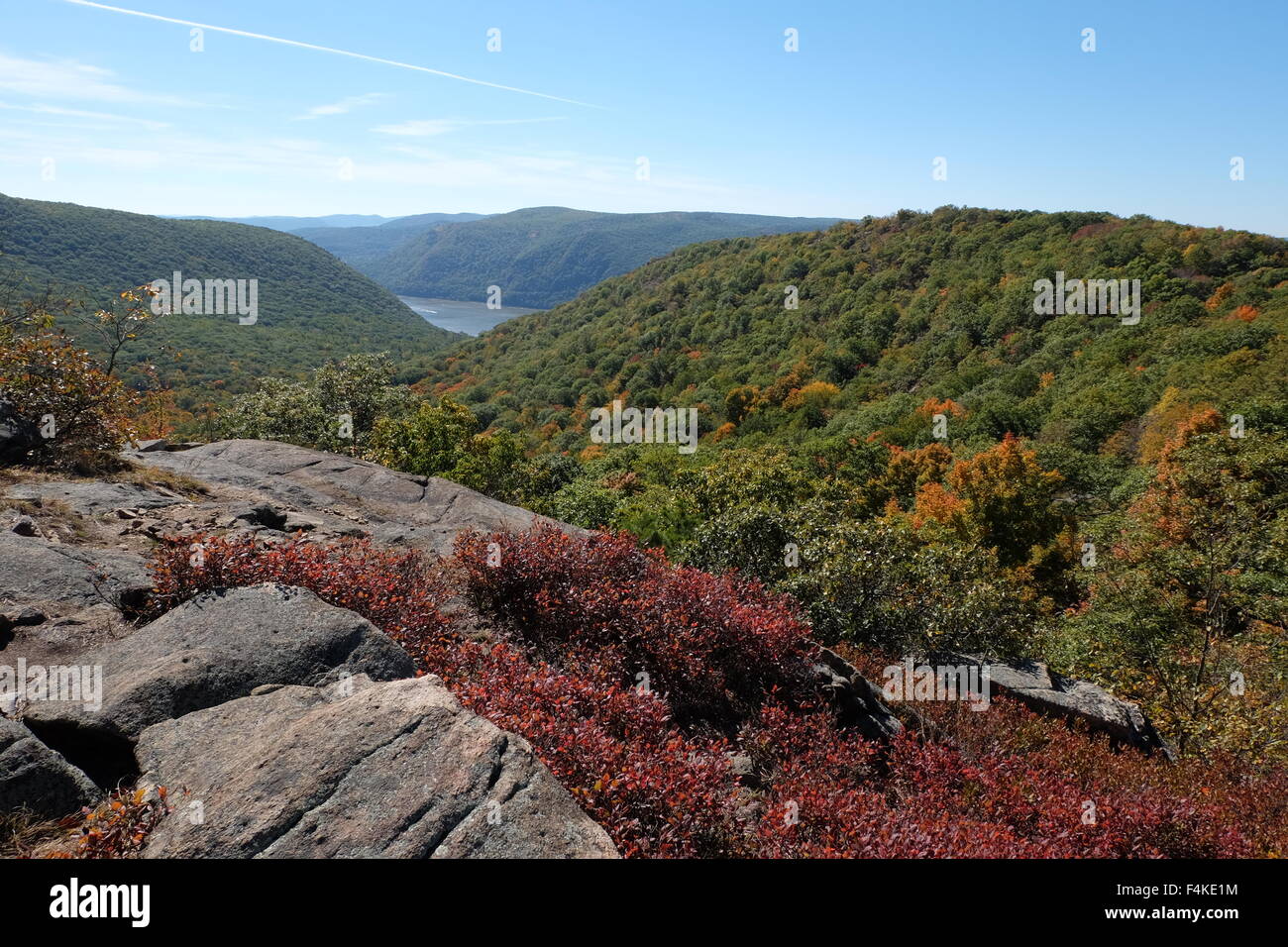 Herbstlaub im kalten Frühling New York Hudson Valley Foto von Jen Lombardo Stockfoto