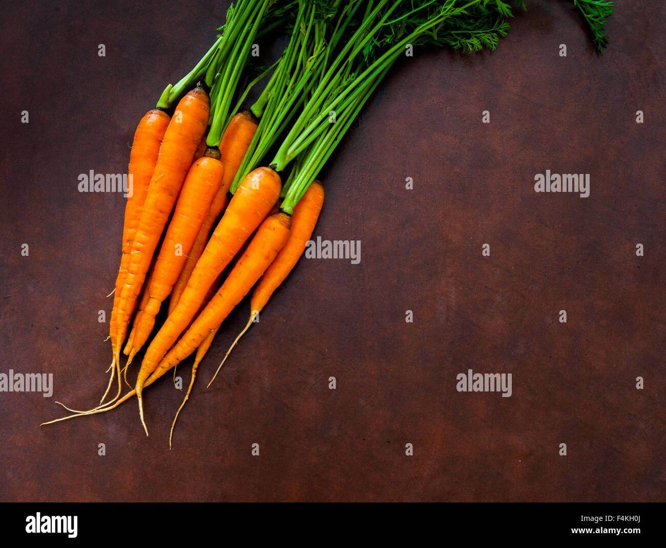 Handvoll frische rohe orange Karotten mit grünen Blättern Bush auf Holzbrett Stockfoto