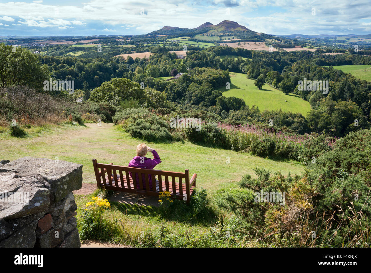 Scotts Blick nach Westen zum Melrose und Eildon Hills, Grenzen Region Schottland Stockfoto