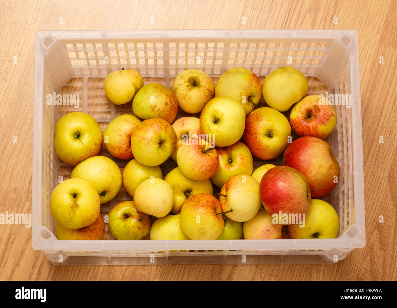 Frische Äpfel in Plastikbehälter über Ansicht Stockfoto