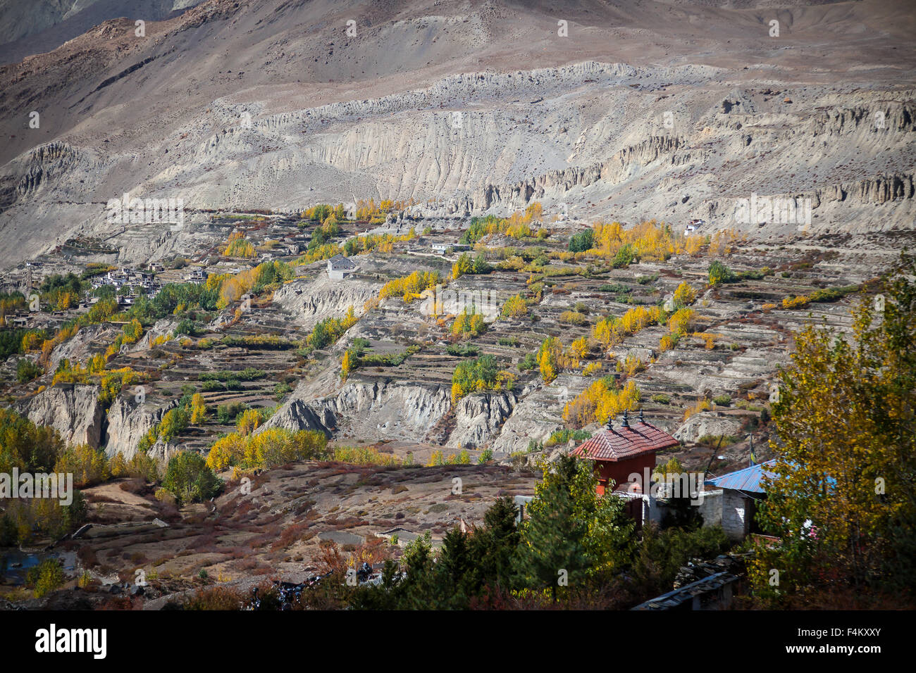 Landschaft mit Herbstfarben, Muktinath, Mustang, Nepal. Stockfoto