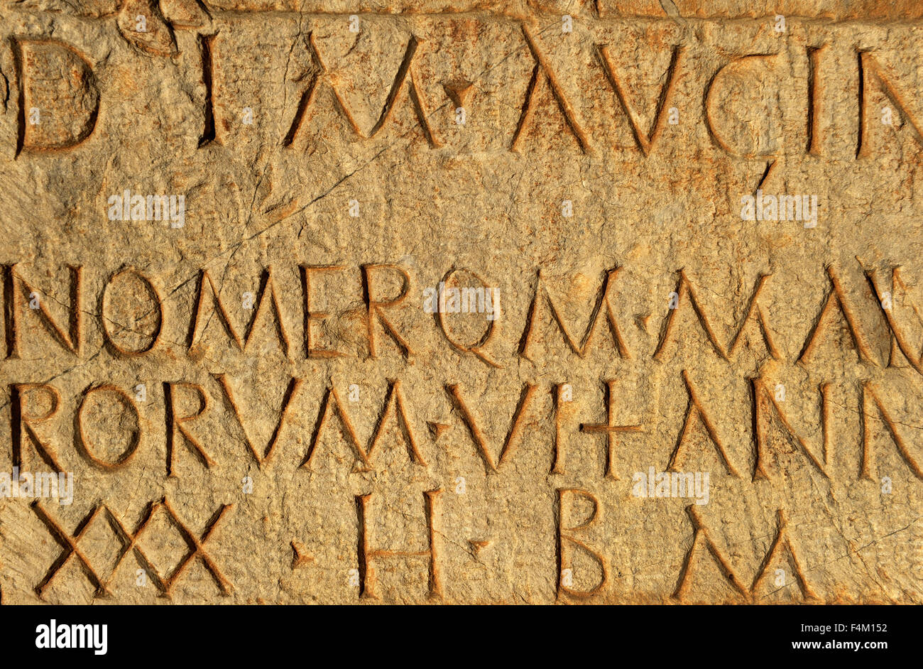 Grabstein, Kalkstein. Nablus (Palästina). Römerzeit, 2. bis 3. Jahrhundert n. Chr.. Die lateinische Inschrift widmet sich die vergöttlichte Seele des verstorbenen Augindai, Reiter in der Staffel die Mauretanier (römische Kolonie). Rockefeller archäologische Museum. Jerusalem. Israel. Detail. Stockfoto