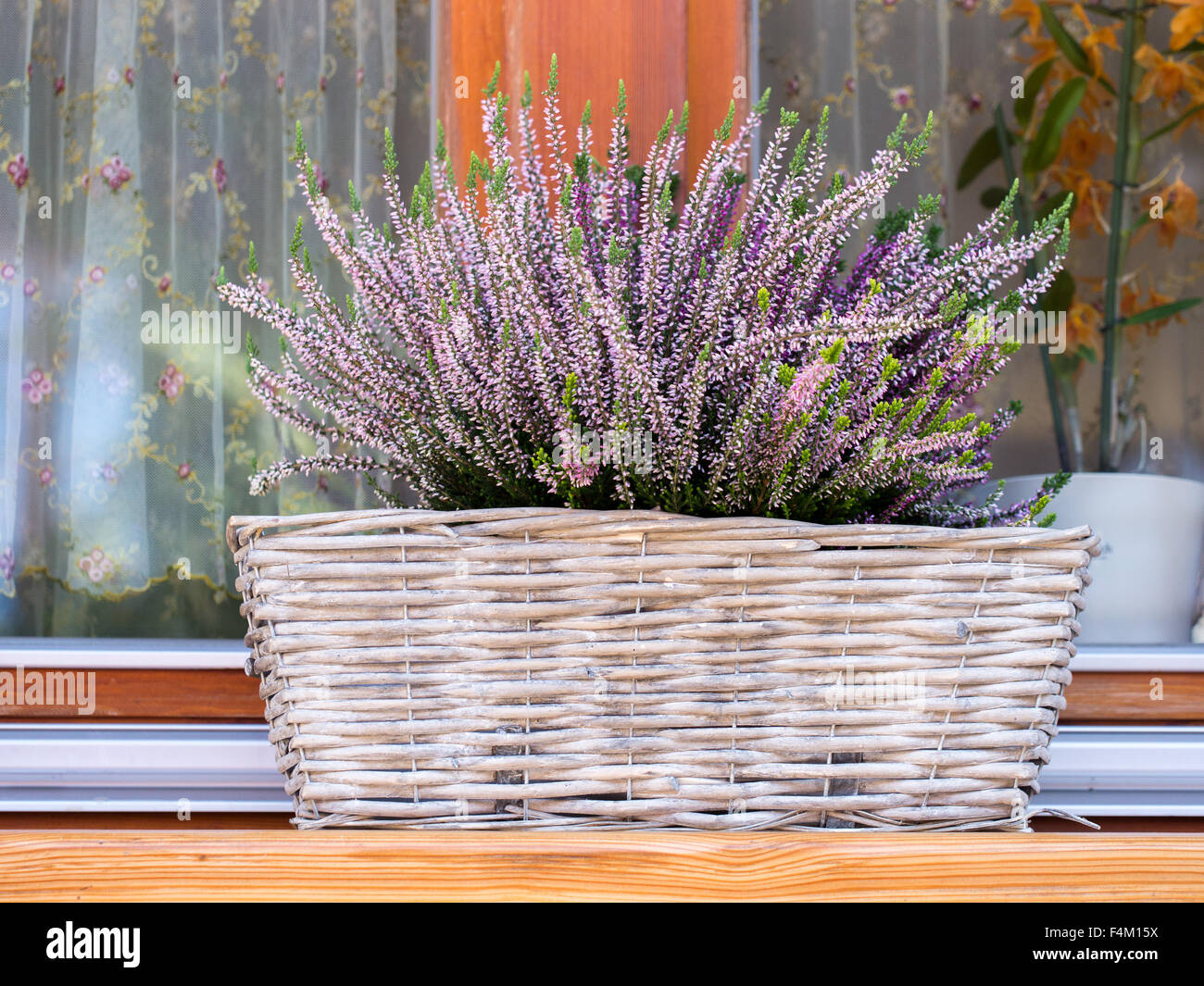 Weidenkorb mit lila Heidekraut auf Fensterbank Stockfoto