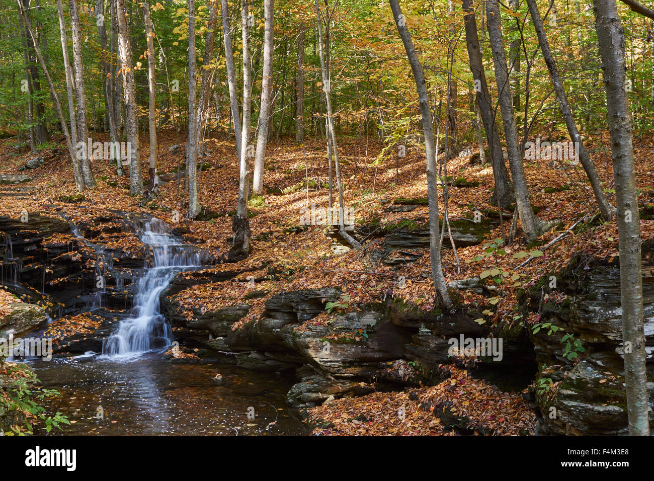 Bergleute laufen, Rock, Loyalsock State Forest, in der Nähe von Williamsport, PA, USA Stockfoto