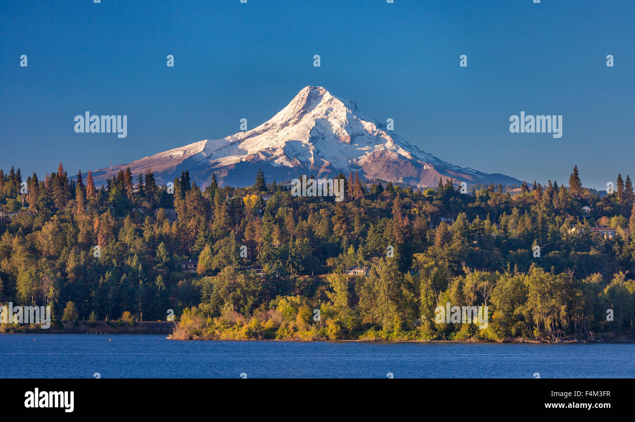 HOOD RIVER, OREGON, USA - Mount Hood, 11.241 ft (3.429 m) vergletscherte Berg in der Kaskadenkette und dem Columbia River. Stockfoto