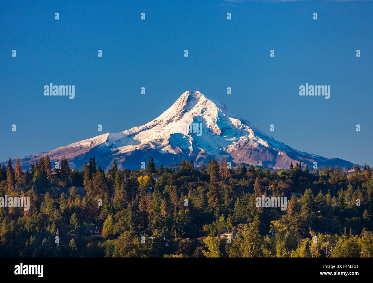 HOOD RIVER, OREGON, USA - Mount Hood, 11.241 ft (3.429 m) vergletscherte Berg in der Kaskadenkette. Stockfoto