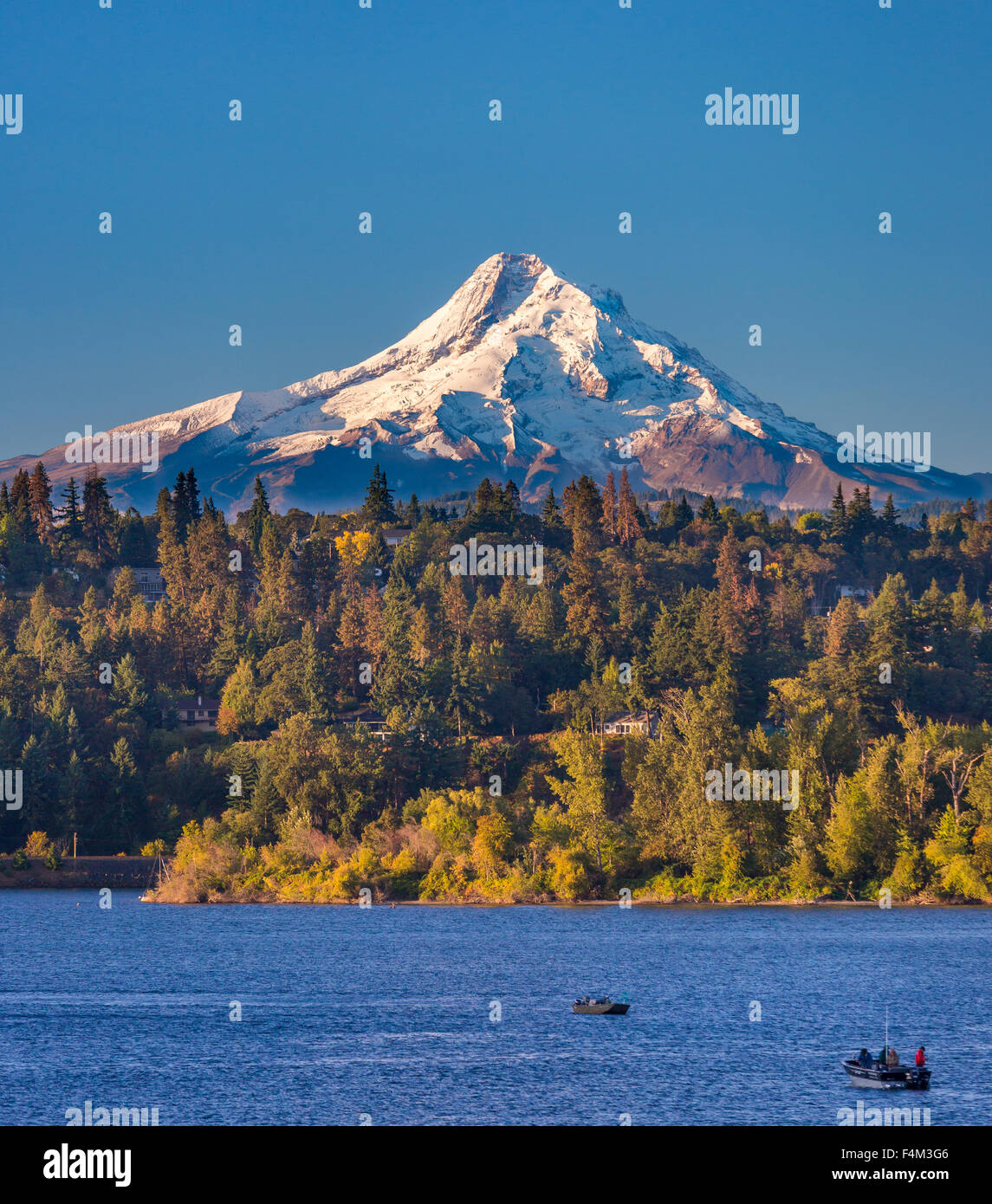 HOOD RIVER, OREGON, USA - Mount Hood, 11.241 ft (3.429 m) vergletscherte Berg in der Kaskadenkette und dem Columbia River. Stockfoto