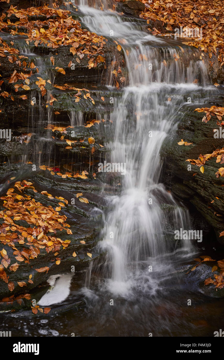 Bergleute laufen, Rock, Loyalsock State Forest, in der Nähe von Williamsport, PA, USA Stockfoto