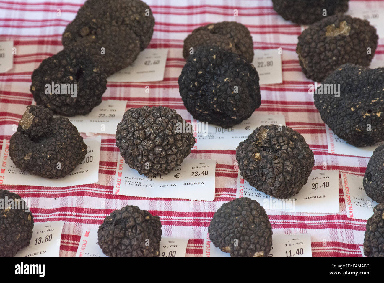 Italien, Piemont, Fiera del Tartufo di Alba: schwarzen Trüffeln Stockfoto