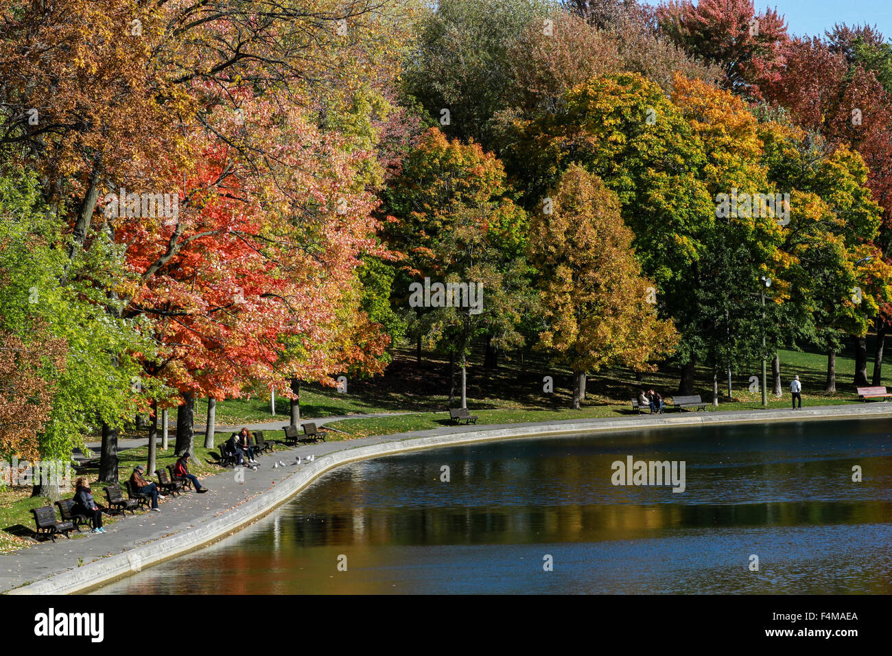 Parc Lafontaine in Montreal, Quebec. Stockfoto