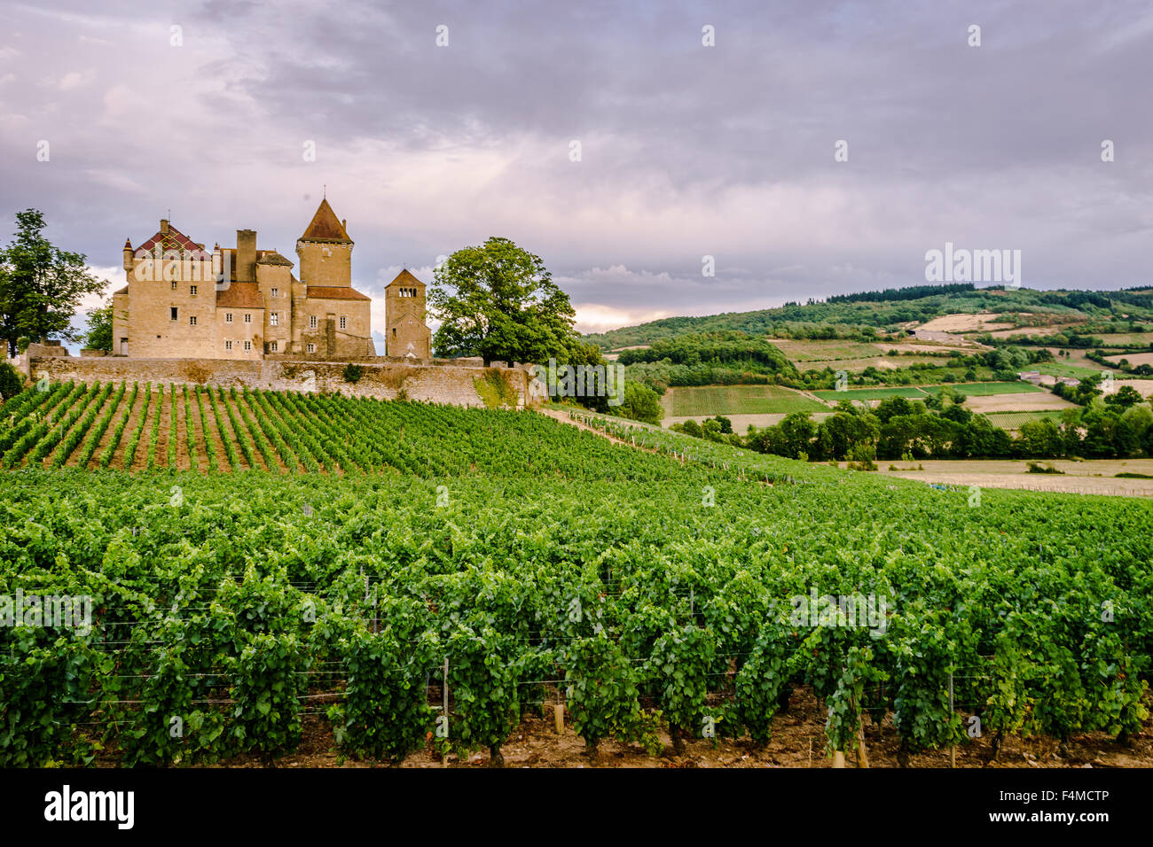 Das Chateau de Pierreclos und weitläufigen Weinbergen. Juli 2015. Burgund, Frankreich. Stockfoto