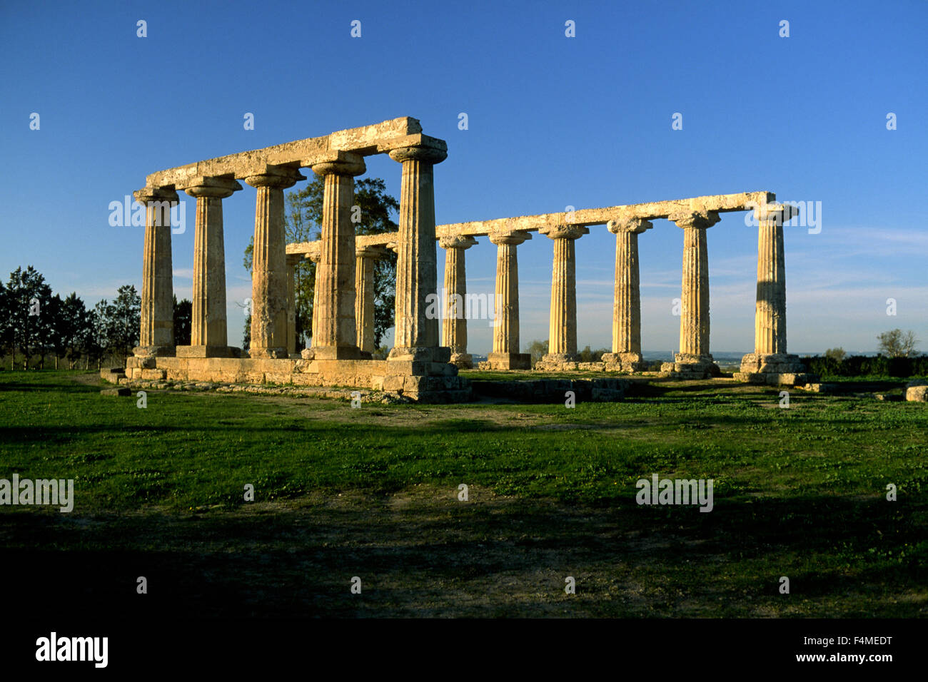 Italien, Basilicata, Metaponto, Tavole Palatin, griechischer Tempel der Hera Stockfoto