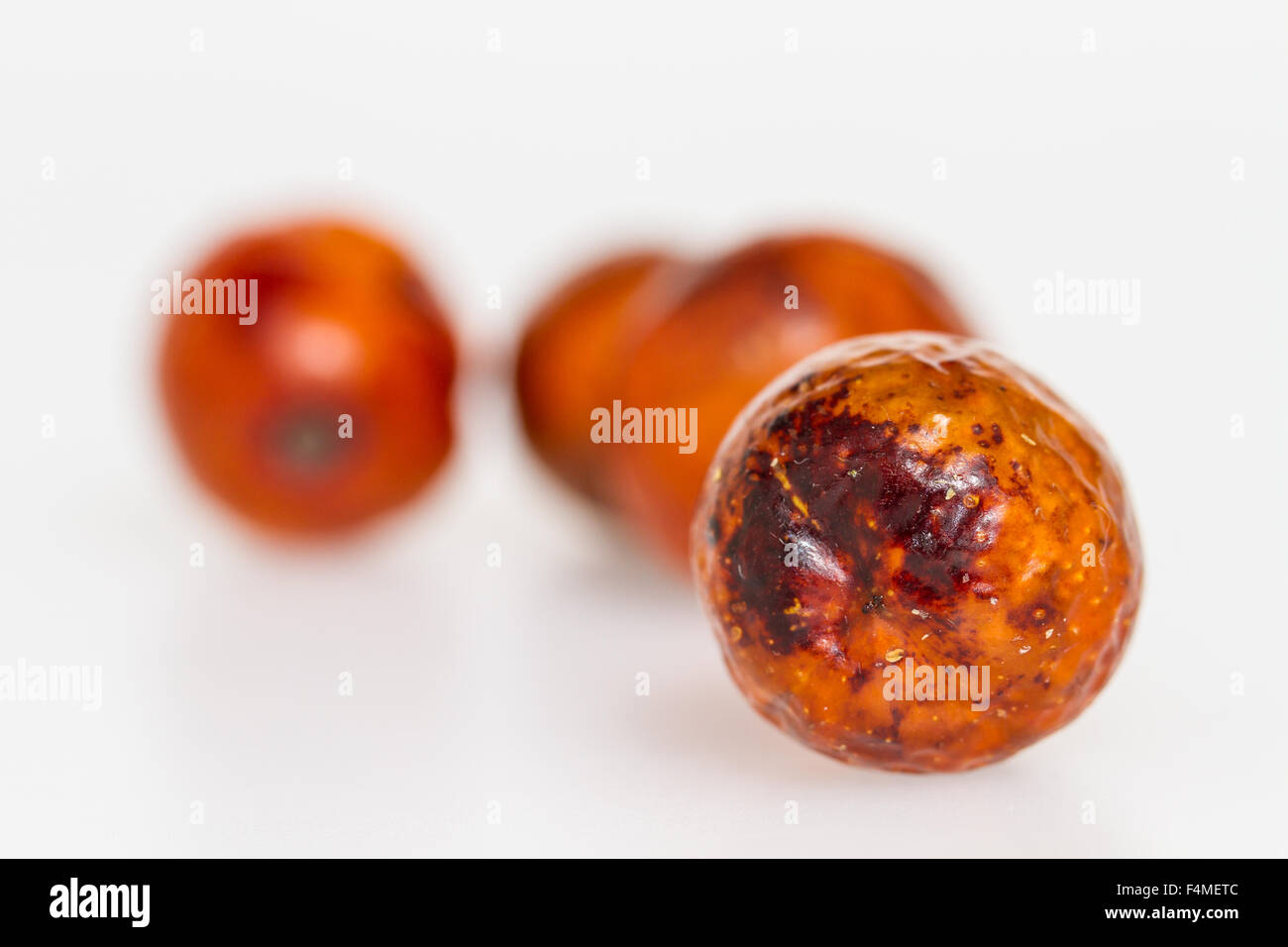 Chinesische Brustbeeren isoliert auf weißem Hintergrund. Pflanzliche Nahrung für heathy Essen. Stockfoto