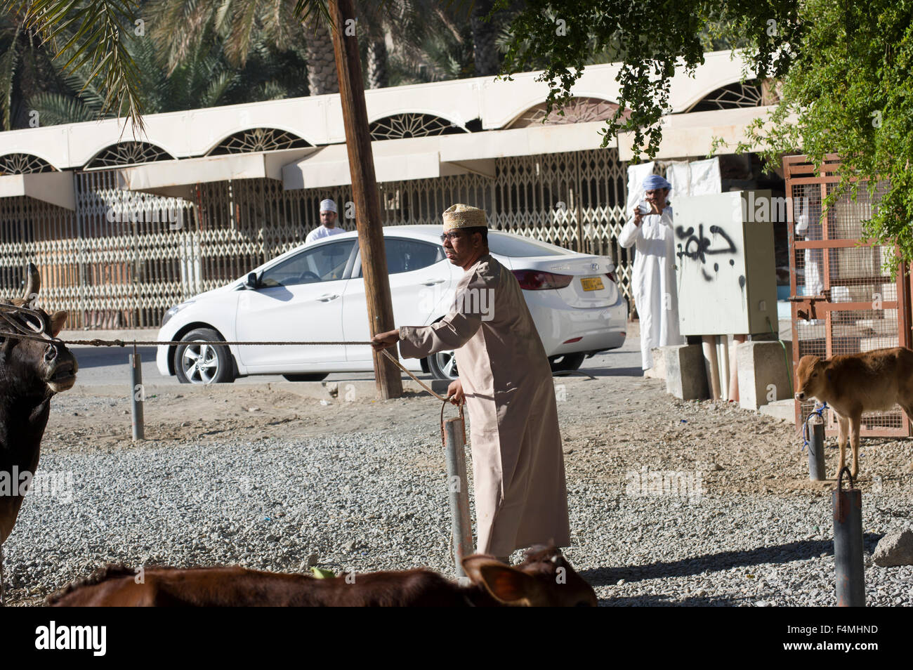 Nizwa Markttag.  Einmal ist die Hauptstadt des Oman der modernen Stadt von Nizwa berühmt für seine lebhaften Souk und Vieh Markt. Stockfoto