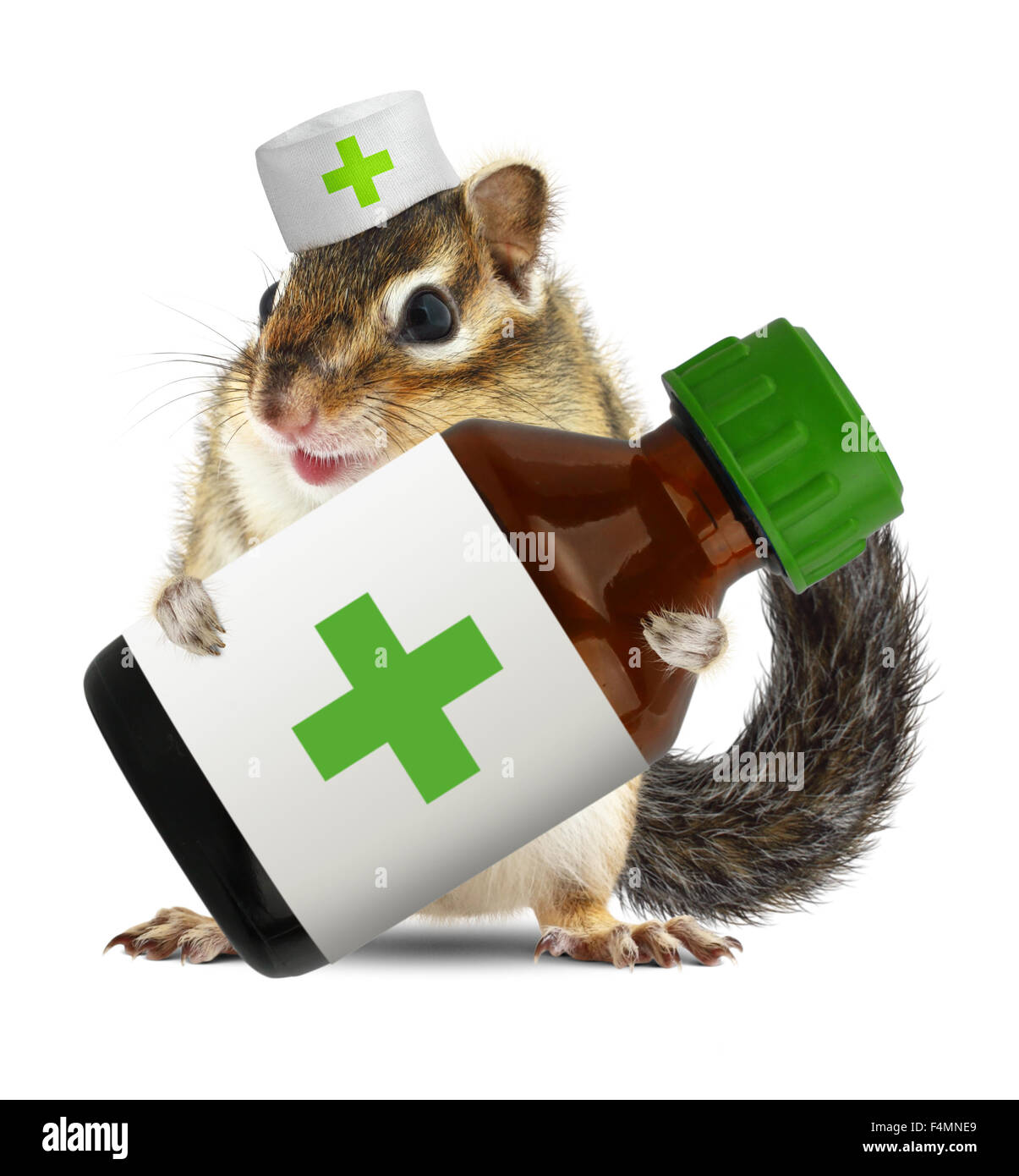 Lustige Streifenhörnchen mit Veterinarianhat halten Flasche Medikamente Stockfoto