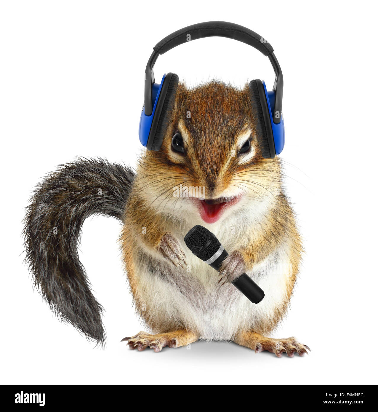 Lustige Streifenhörnchen dj mit Kopfhörer und Mikrofon Stockfoto