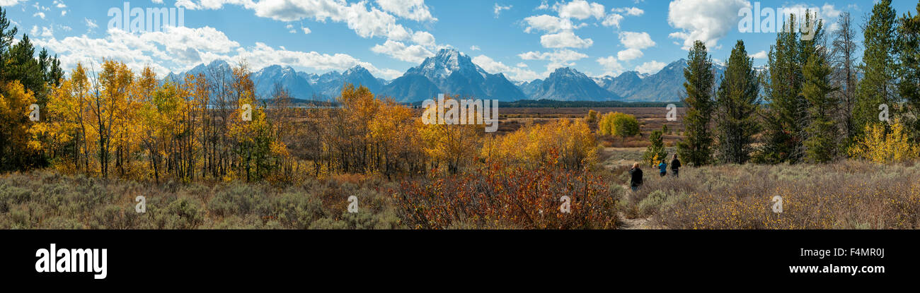 Die Teton und Herbstlaub Panorama, Wyoming, USA Stockfoto