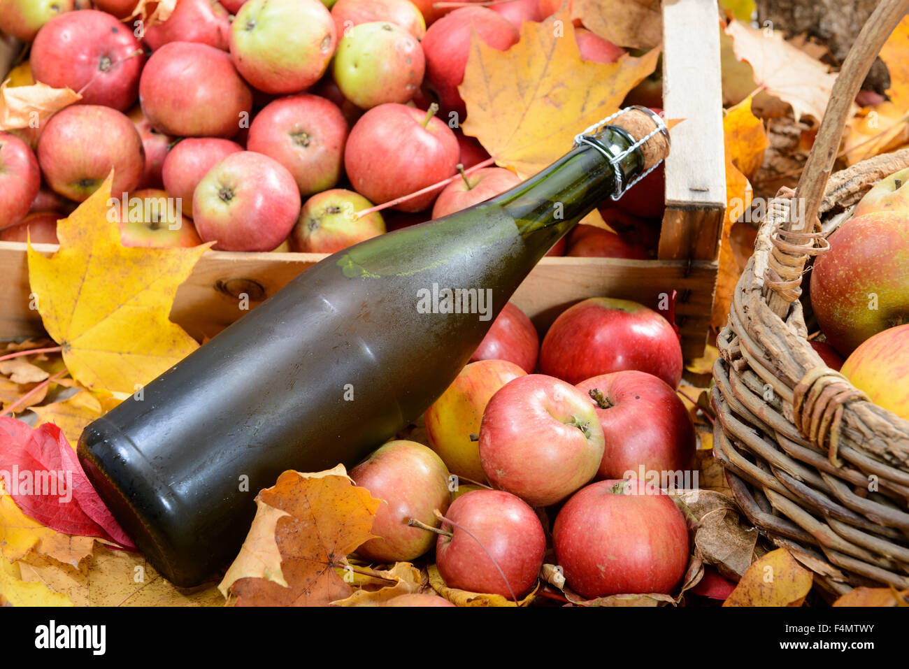 eine Flasche Normandie Apfelwein, mit vielen Äpfeln und Korb Stockfoto