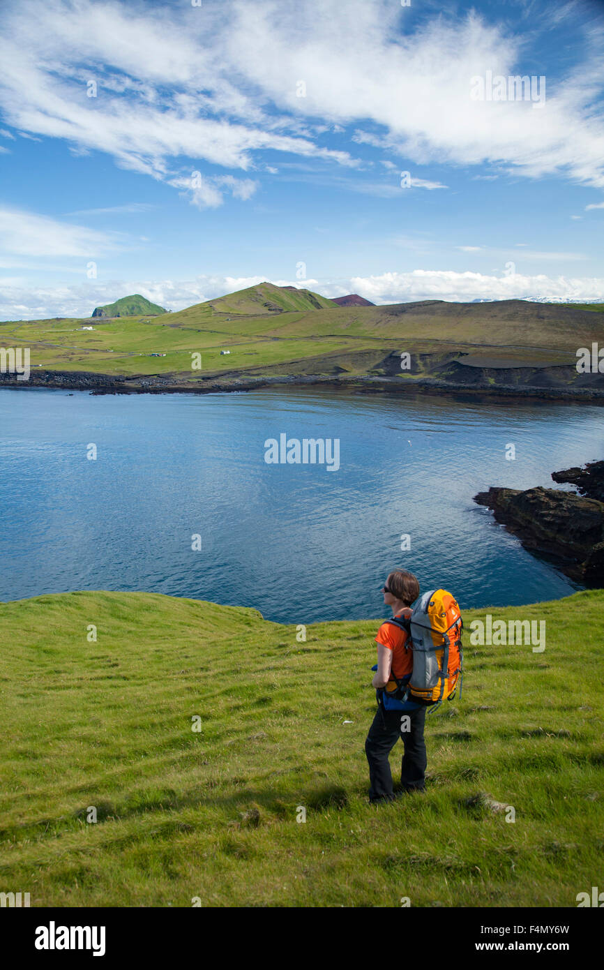 Wanderer erkunden die Storhofdi Halbinsel auf Heimaey Insel, Westmännerinseln, Sudhurland, Island. Stockfoto