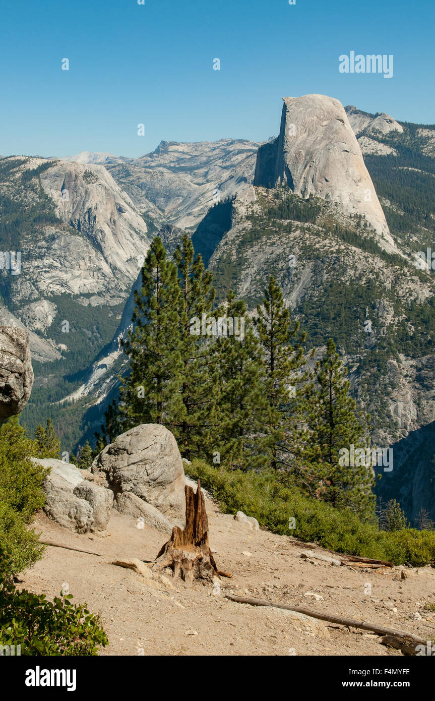 Half Dome von Washburn Point, Yosemite NP, Kalifornien, USA Stockfoto
