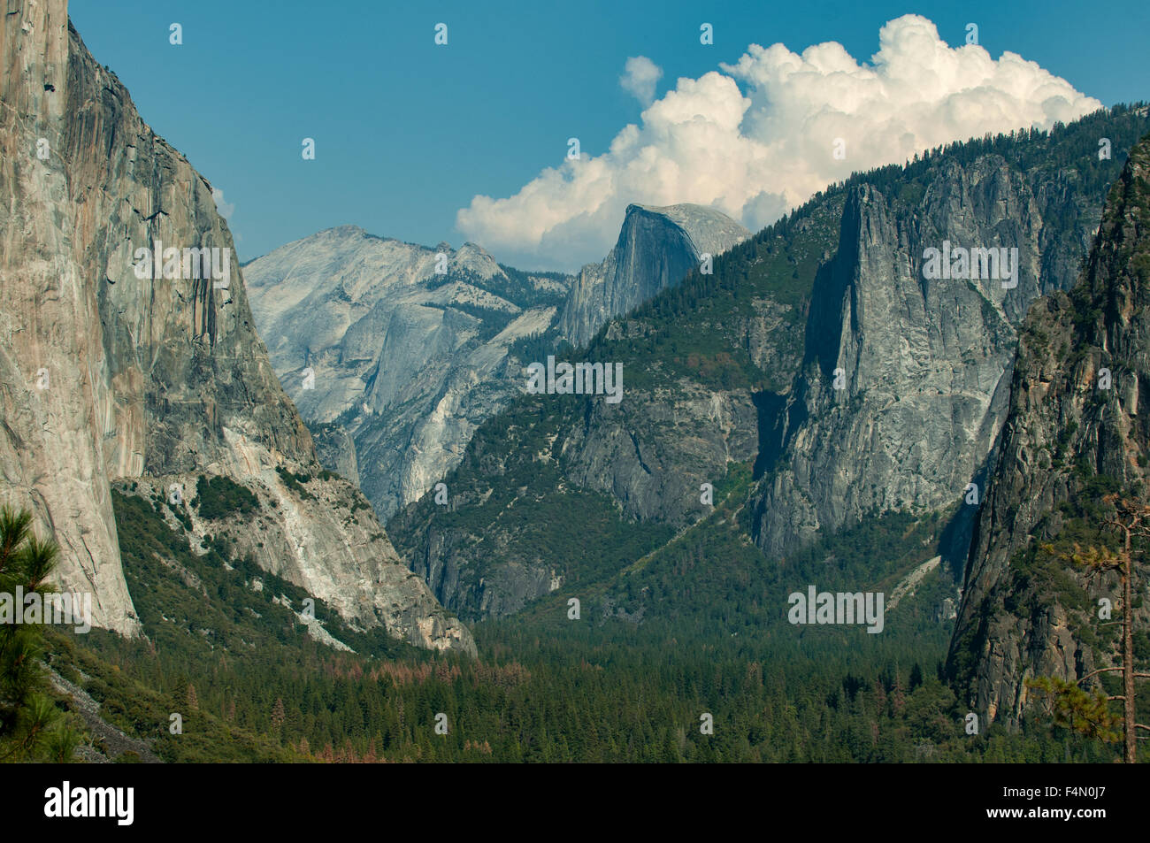 Yosemite Valley vom Tunnel View, Yosemite NP, Kalifornien, USA Stockfoto