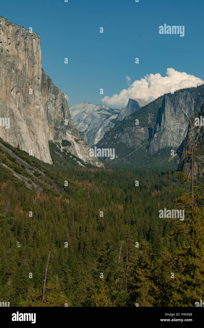El Capitan und Half Dome vom Tunnel View, Yosemite NP, Kalifornien, USA Stockfoto