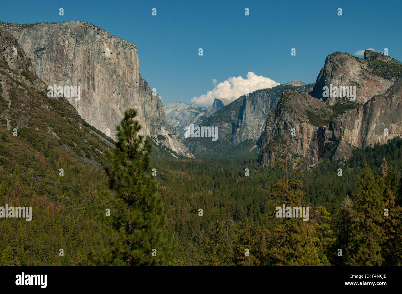 El Capitan und Half Dome vom Tunnel View, Yosemite NP, Kalifornien, USA Stockfoto