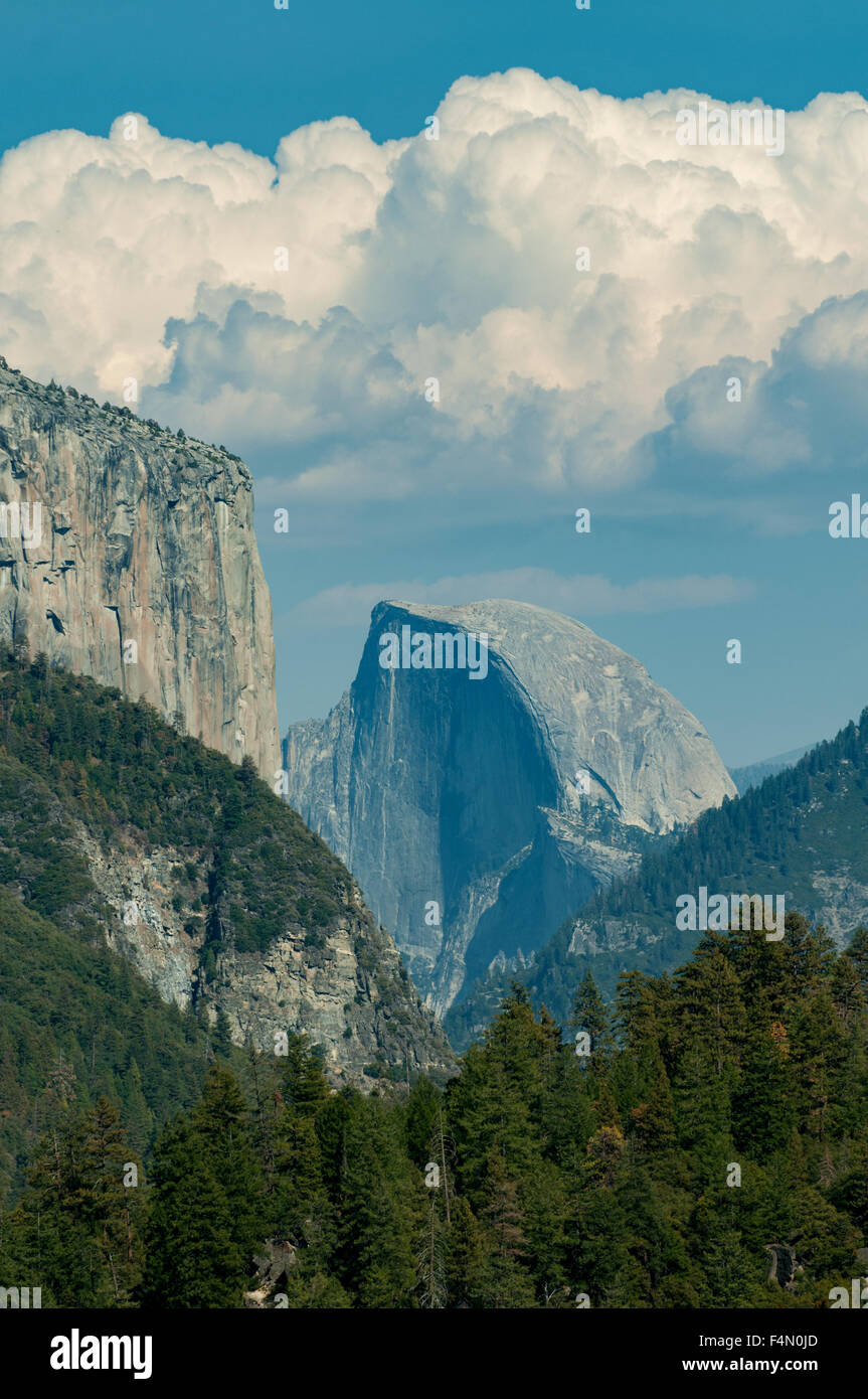 El Capitan und Half Dome, Yosemite NP, Kalifornien, USA Stockfoto