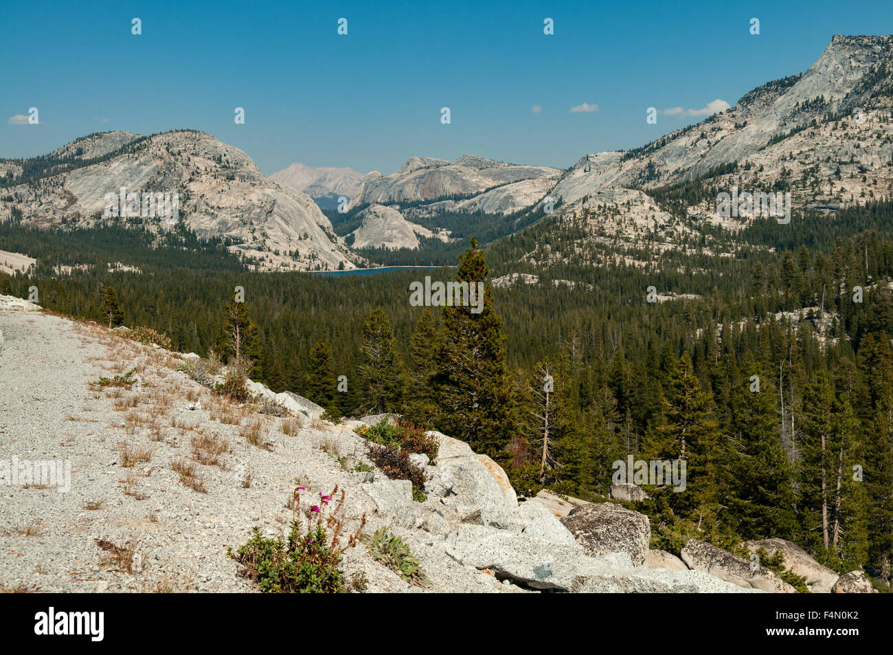 Blick vom Olmsted Point, Yosemite NP, Kalifornien, USA Stockfoto