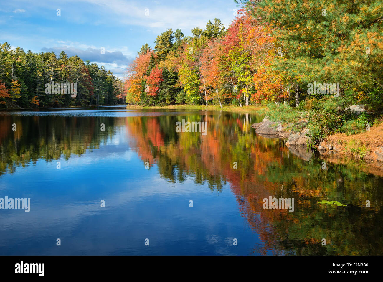 Reflexionen im Teich an sonnigen Herbsttag in Neu-England Stockfoto