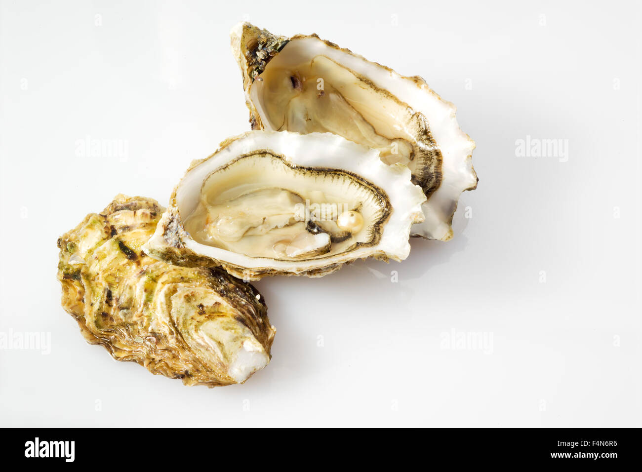 Auster mit Perle Stockfoto