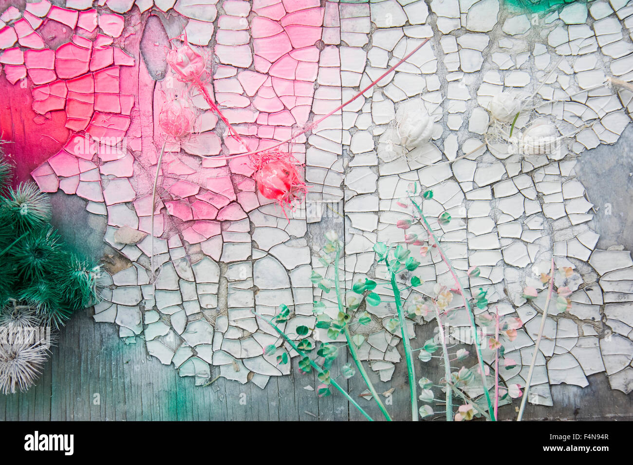 Lackieren von Trockenblumen Stockfoto