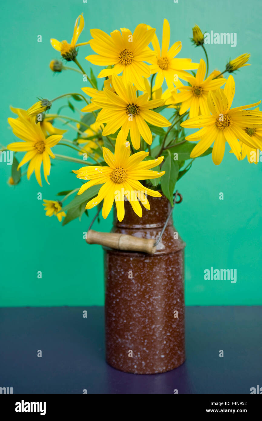 Emaille kann mit Blüten von Topinambur vor grünem Hintergrund Stockfoto