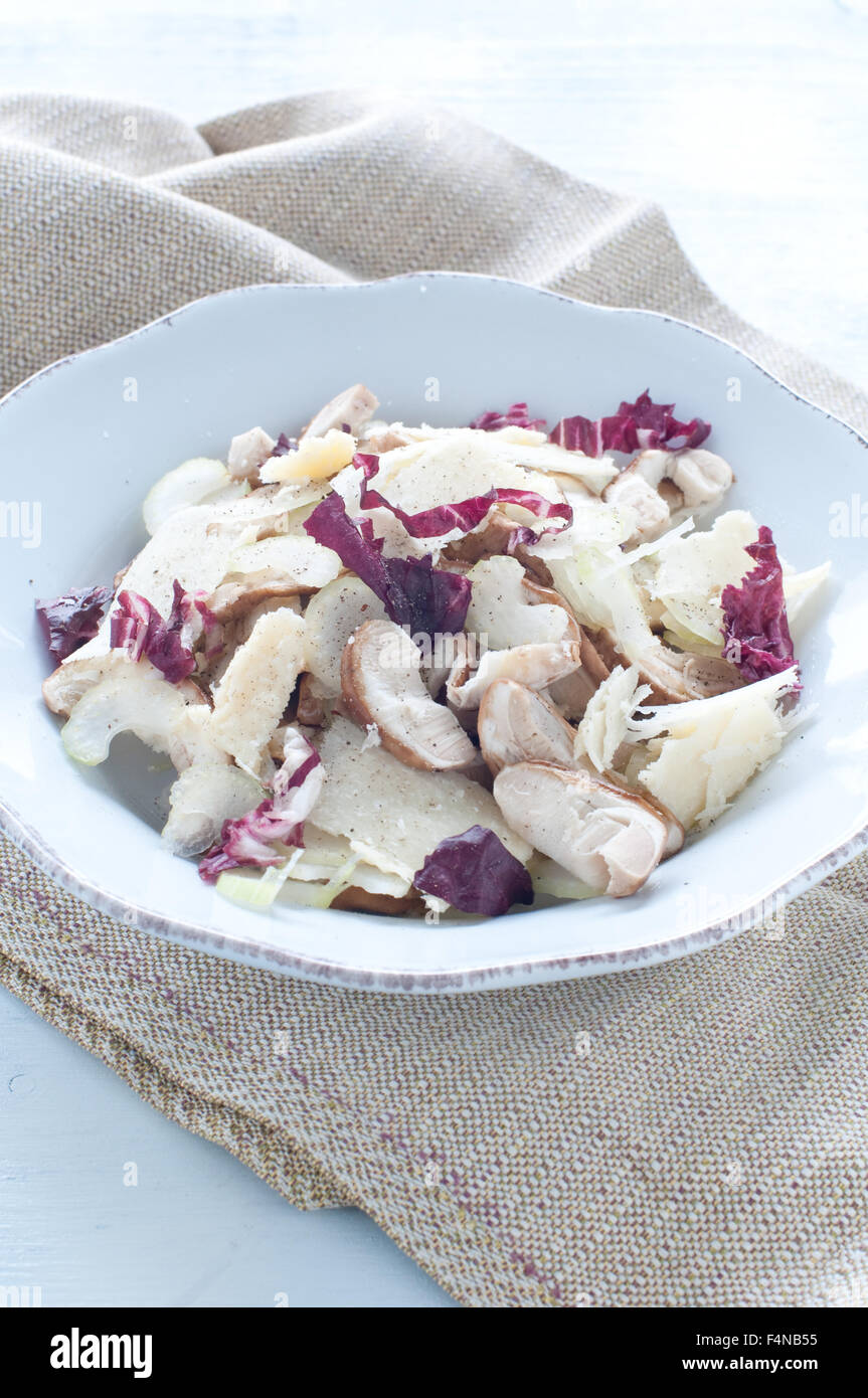 Steinpilz-Pilzsalat mit Sellerie, Radicchio und Parmesan Stockfoto