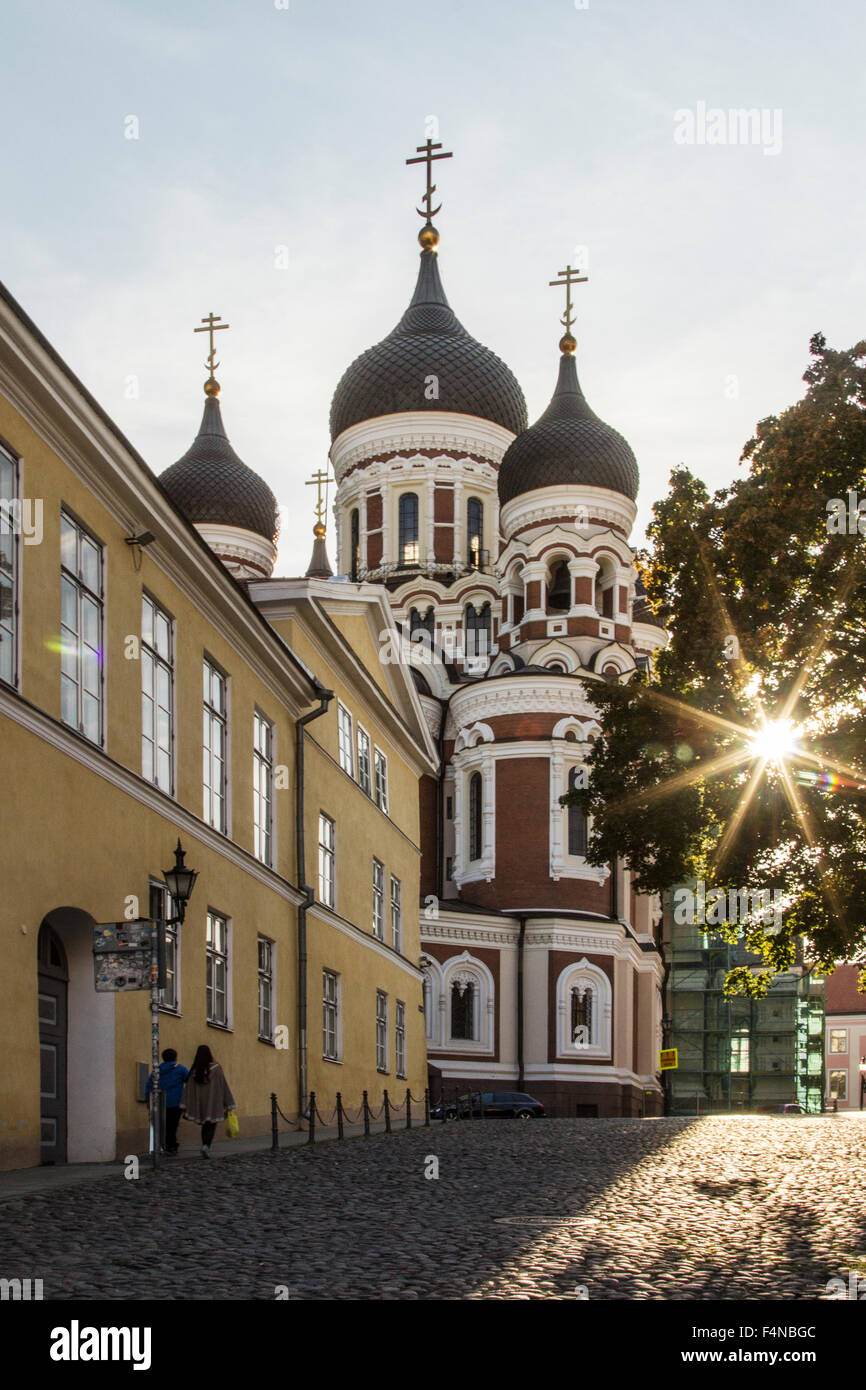 Estland, Tallinn, Bettler Frau auf die Schritte vonallen Stockfoto