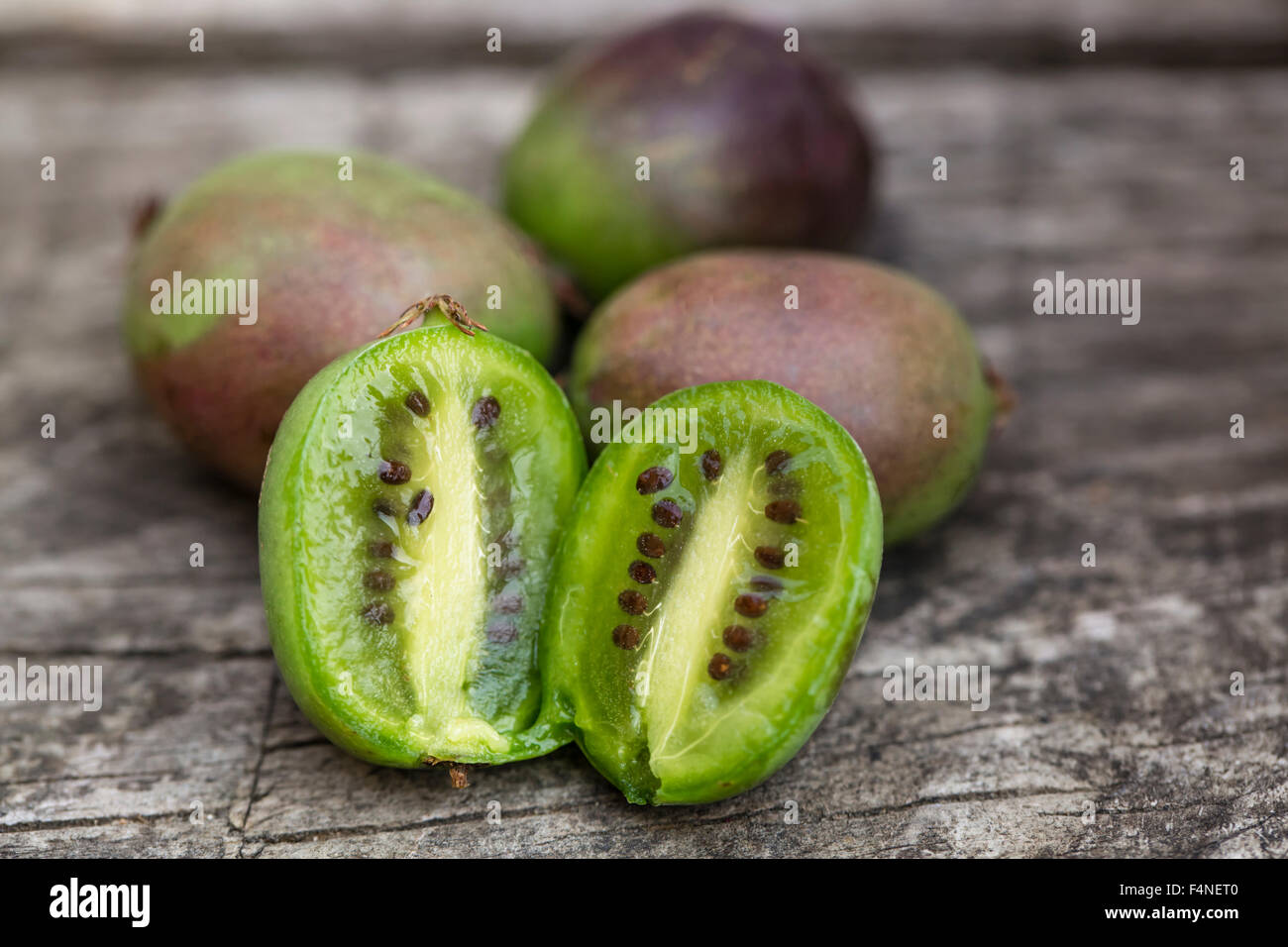 Winterharte Kiwi auf Holz geschnitten Stockfoto