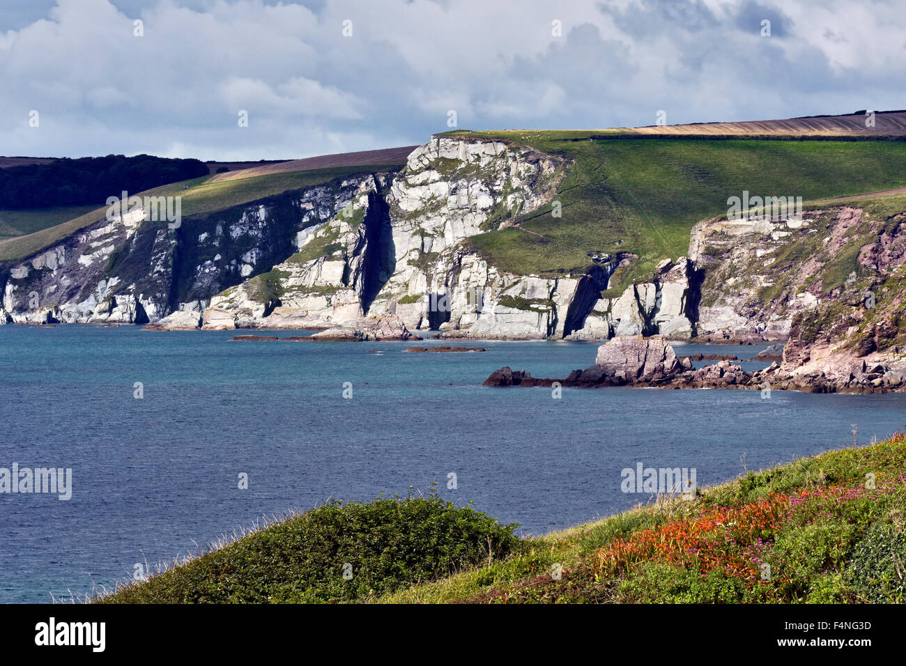 South Devon Küste mit Blick auf Ayrmer Cove, UK Stockfoto