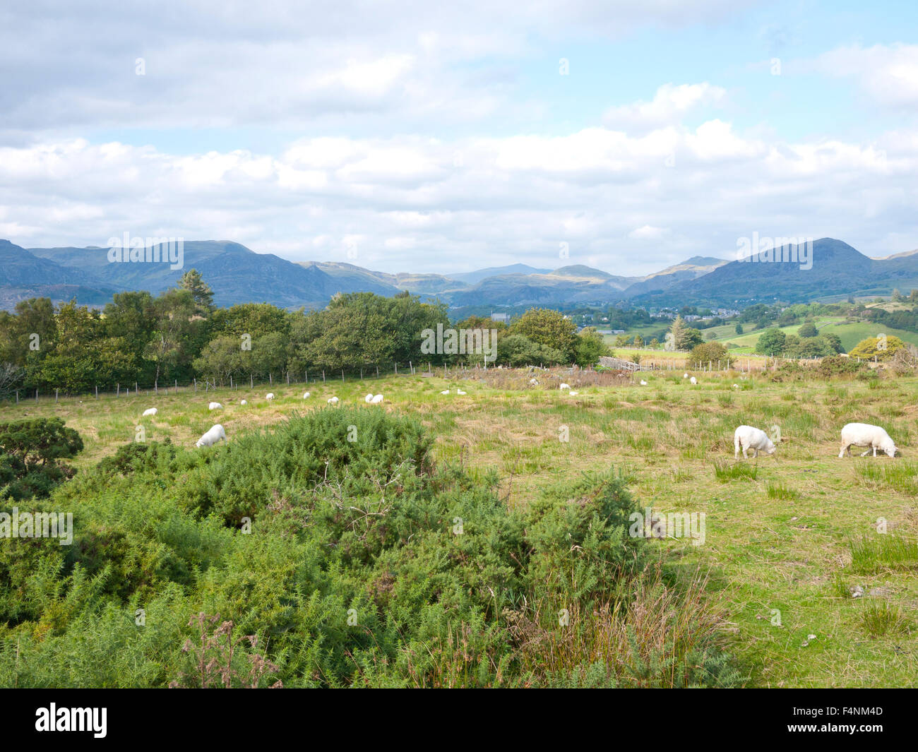 Nordwales Landschaft mit Blick auf Snowdonia, North Wales, UK. Stockfoto