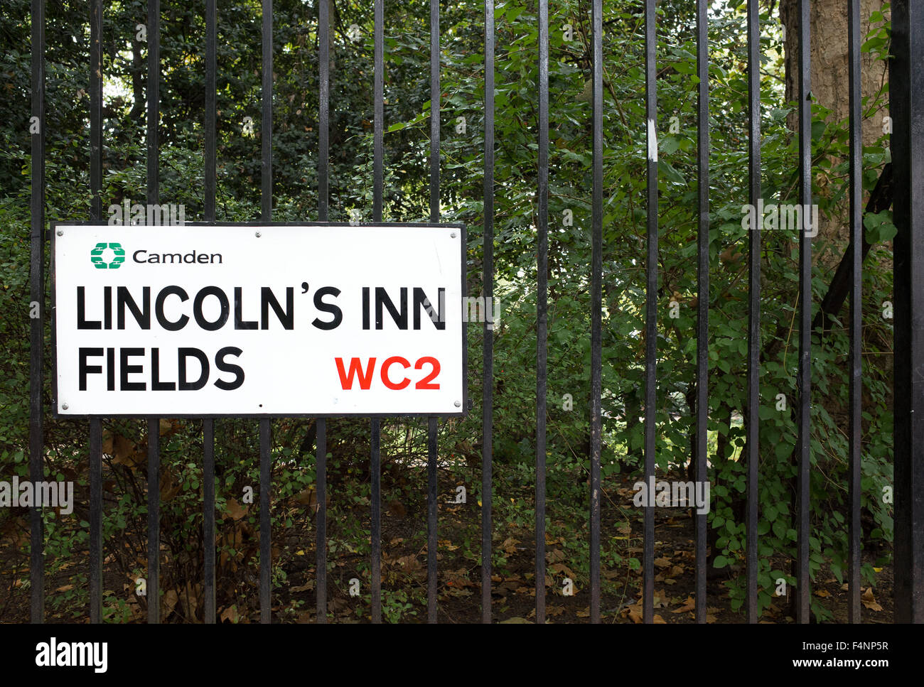 Lincoln es Inn Fields, London, England. Stockfoto