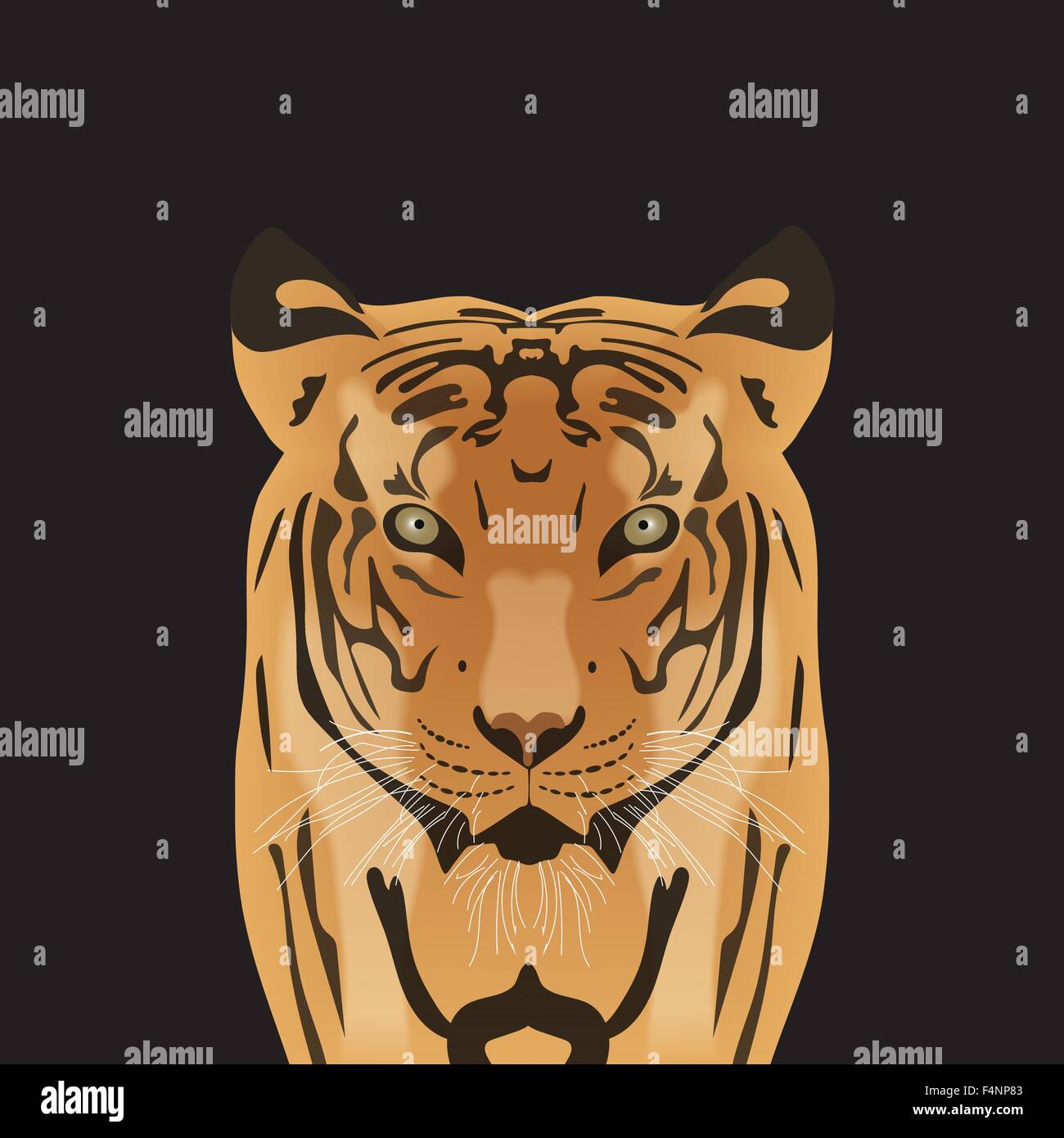 Flache Vektor Porträt eines Tigers. Schönes Gesicht eine große Katze mit durchdringenden Augen. Stock Vektor