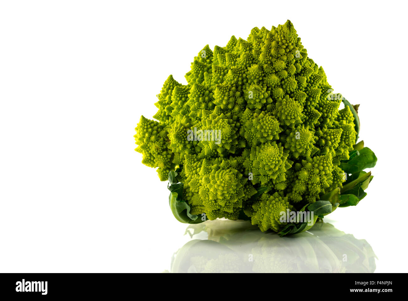 Romanesco oder grüner Blumenkohl isoliert auf weißem Hintergrund Stockfoto