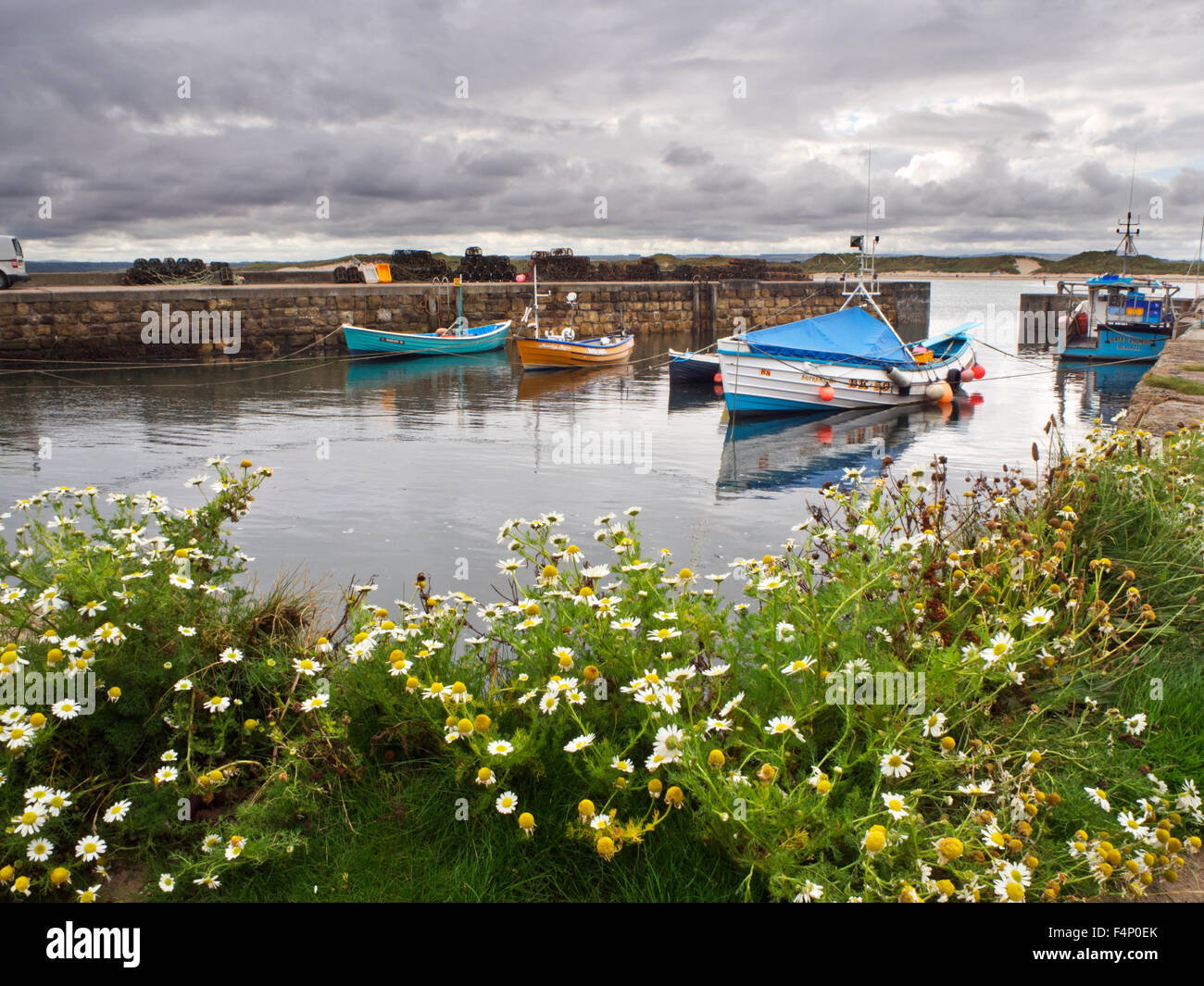 Angelboote/Fischerboote vertäut im Hafen von Bednell Northumberland, England Stockfoto