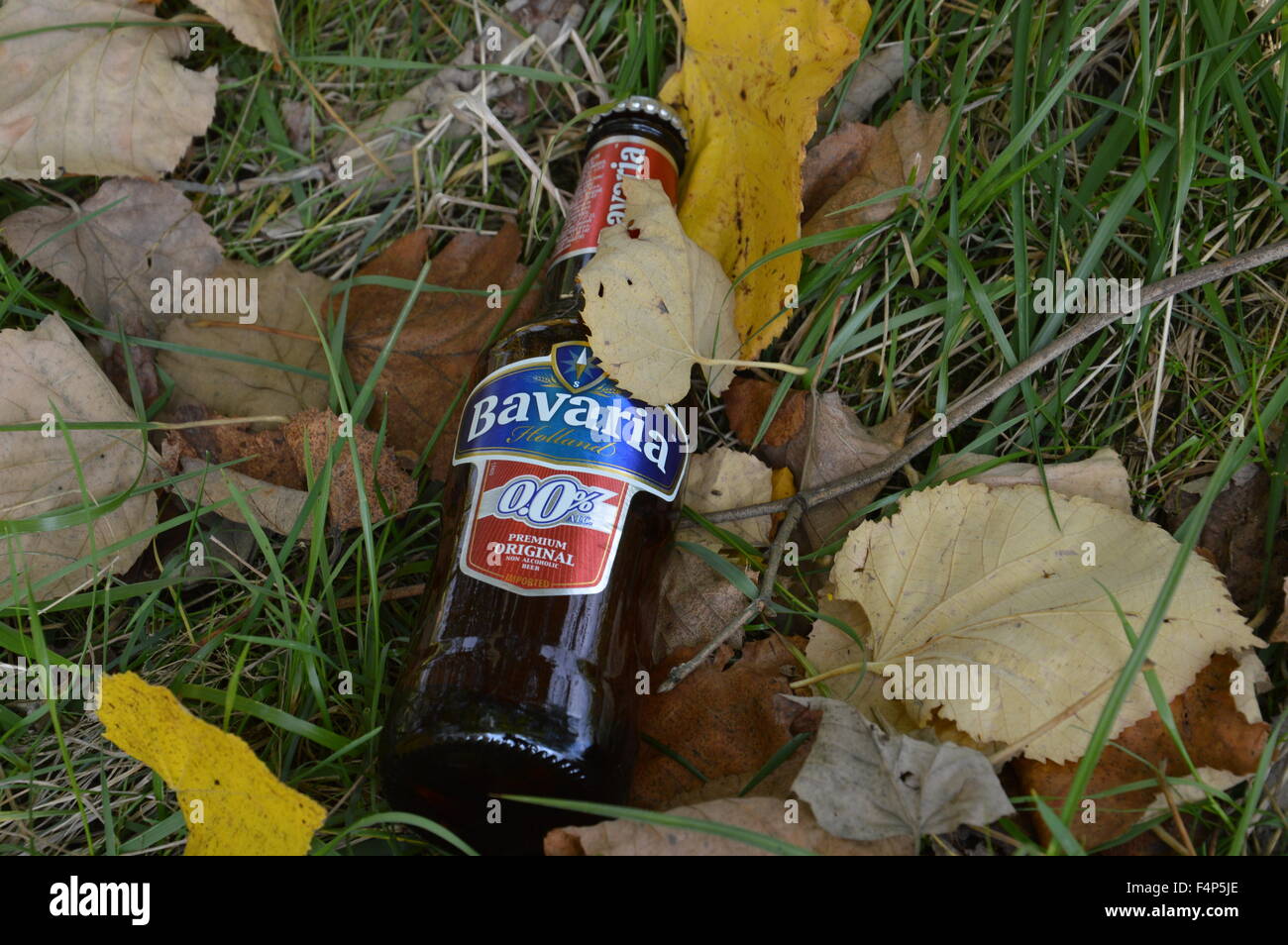 Flaschen alkoholfreies Bier in der Natur Stockfoto
