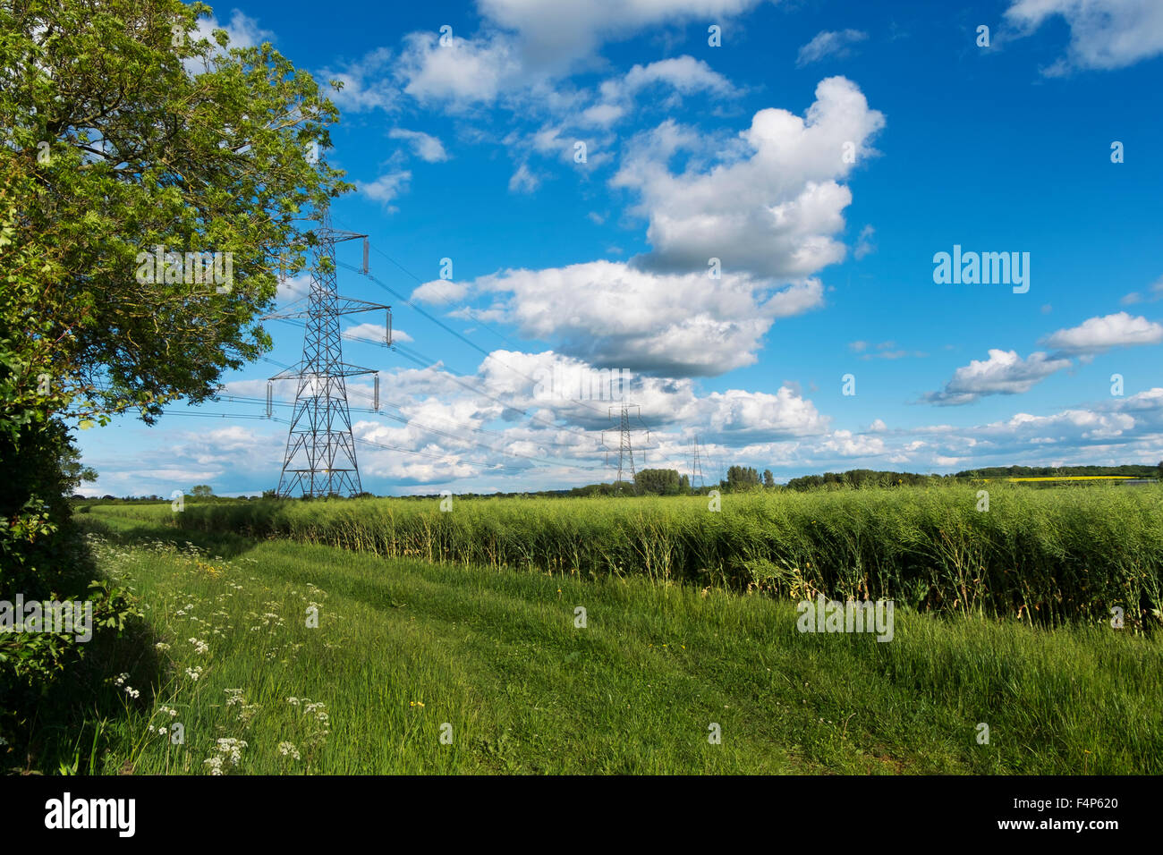 Pylon mit Stromkabel über die Landschaft in den Cotswolds, Gloucestershire, UK Stockfoto