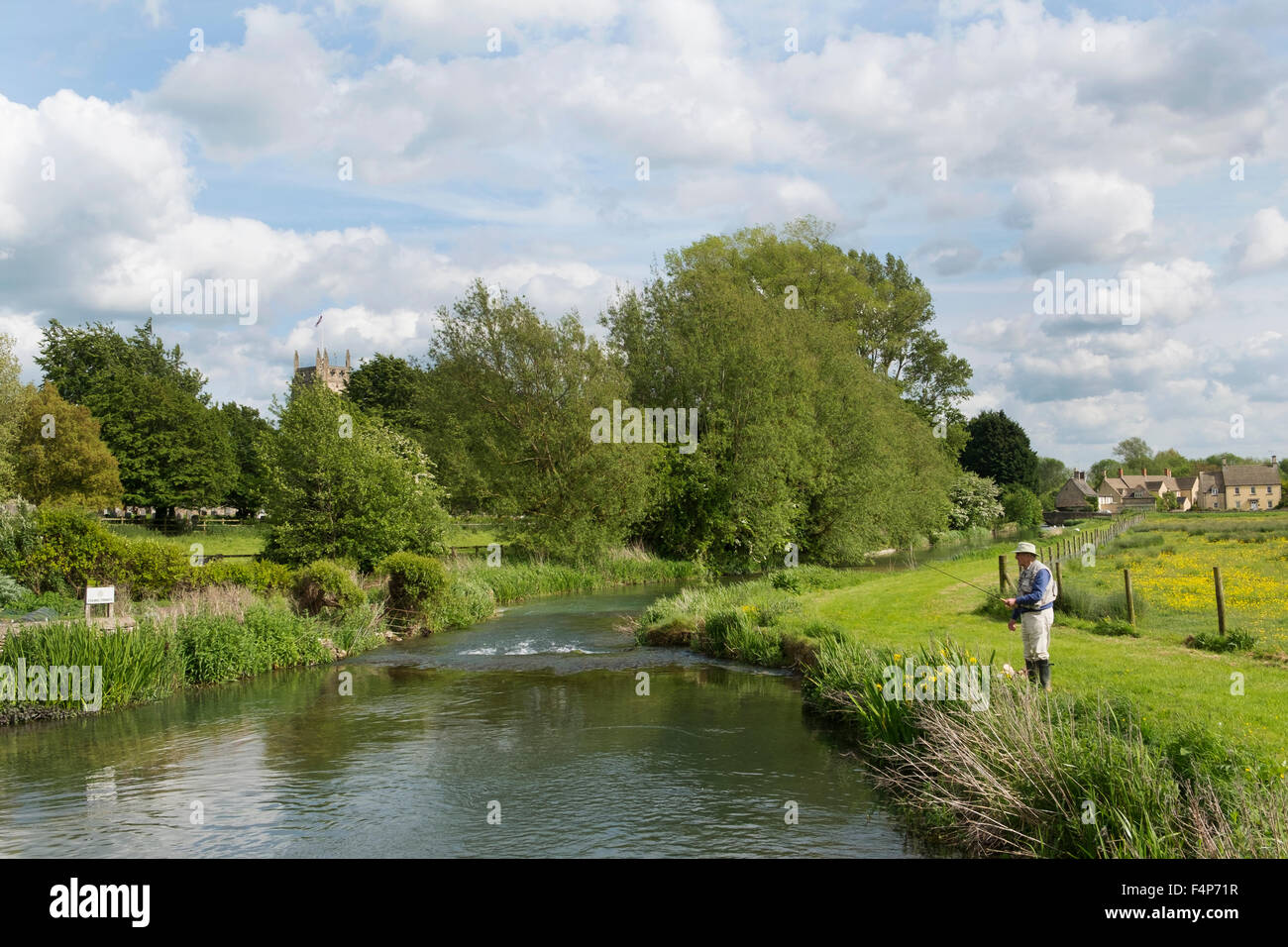 Ein Mann angeln im Fluss Coln in Fès, Gloucestershire, Vereinigtes Königreich Stockfoto