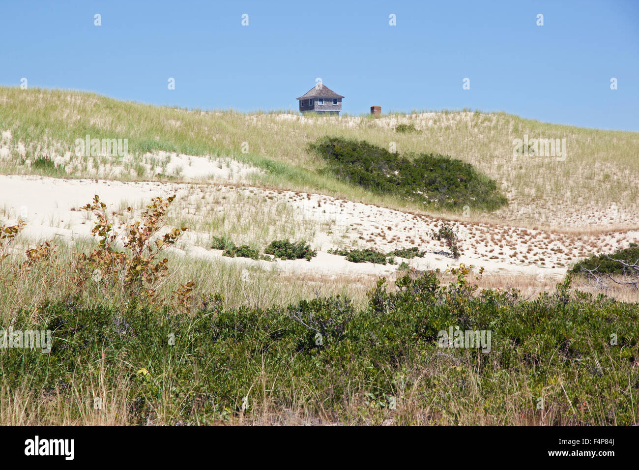 Provinz Ländereien am Cape Cod National Seashore.  Sanddüne Vegetation besteht aus Kiefer & Eiche Bäume. Sträucher sind Pflaume & Beere. Stockfoto